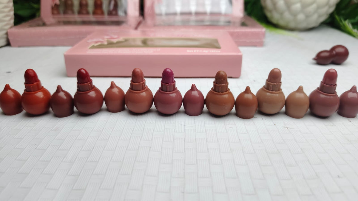 12 in 1 lipstick deal