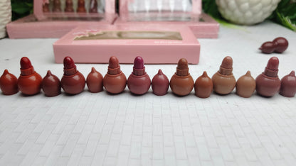 12 in 1 lipstick deal